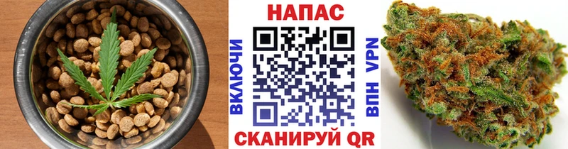 как найти закладки  Короча  Cannafood марихуана 