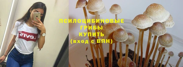 метадон Карпинск