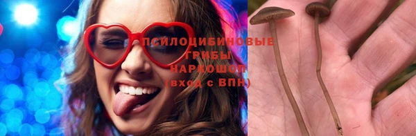 МДПВ Карталы