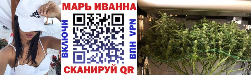 МАРИХУАНА сатива  площадка какой сайт  Короча 